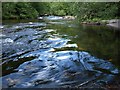 River Dart in TQ13 7PU