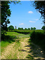Footpath Junction near Wivelsfield in RH15 0SR