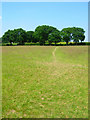 Footpath to Wivelsfield Church in RH15 0SR