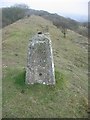 Tuthill Quarry triangulation pillar in DH6 2AJ