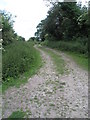 Northwards fork of the footpath junction just north of Flansham in PO22 8NP