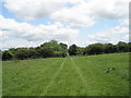 Looking back to the footpath junction just north of Flansham in PO22 8NP