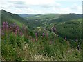 Toward the Neath Valley from Mynydd Pen-rhys in SA12 9SJ