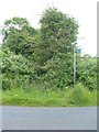 Overgrown Footpath Entrance in MK17 0PZ