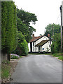 View east along Attleborough Road in Little Ellingham