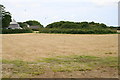 Tumulus in TR3 6EG