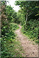 Bridleway through Cusveorth Coombe in TR4 8LG