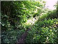 Overgrown footpath near Dinton in Dinton (Wiltshire)