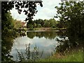 A view of Polstead's village pond in CO6 5AS