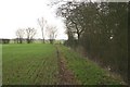 Footpath by Hermitage Wood in PE28 4EW