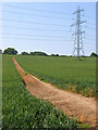 Pylon and bridleway above Broadmayne in DT2 8EP