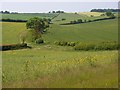 Farmland, Broadmayne in DT2 8PN