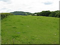 Rough ground near Puddle Cottage in WR6 5QF