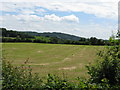 Mown field near Old Rosemore in WR6 5RP