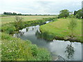 River Anker - view upstream in CV9 2FX