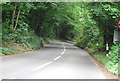 Barden Rd through Speldhurst Woods in TN3 0LE