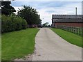 Road to farm buildings in IP21 4UF