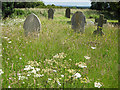 Wildlife haven, St Bartholomew's churchyard in GL19 3JS