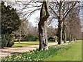 Belton Park, Grantham in Belton and Manthorpe