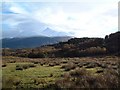 Snow on Cruachan viewed from Ardchonnel in PA37 1RN