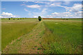 The West Halton Footpath in DN15 9AX
