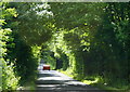 2008 : Road near Norbin Barton Farm in SN13 8DJ