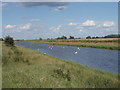 River Welland in PE6 7PQ