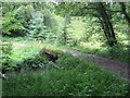 Farm track bridge over tributary of Nant Cynnen in SA33 6NH
