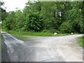 Track junction near the entrance to Pembrey Forest in SA16 0HZ