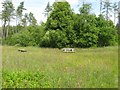 Picnic tables at a path crossroads in Pembrey and Burry Port Town Community