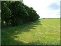 Trees and field in AB51 4LE