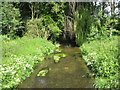 River Misbourne in Denham Country Park in UB9 5BE