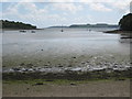 Beach on the creek at Trelissick in TR3 6QJ
