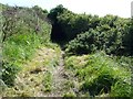 Coastal Footpath near the Fleet in DT4 9GB