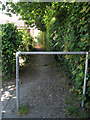 A shady path in NR29 3AB