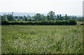 2008 : Looking east from Brokerswood Farm in BA13 4EF