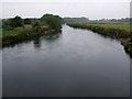 River Tame, Hemlingford in B78 2DF