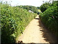 North Downs Way in GU3 1JE