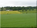 Across the fields to Nethercleuch in DG11 2SQ