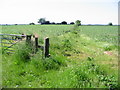 Looking NW along footpath towards Elham in CT4 6TZ