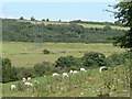 Flemingston Moor, Vale of Glamorgan in CF62 4QG