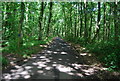 Road through Oldbury Woods in TN15 0LL