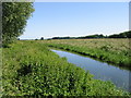 View along the Little Stour in CT3 1SQ