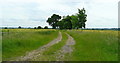 Track and public footpath south from Little Henham in CB11 3XR