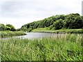 Anderton Nature Park - view up the River Weaver in CW9 5LA