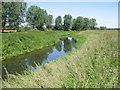 The Little Stour in CT3 1SQ