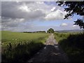 Scroggiehill Farm Track in DG7 1NU