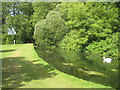 River Test in the grounds of Mottisfont Abbey in SO51 0LP