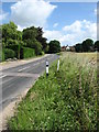 View north along the B1145 (North Walsham Road) in NR28 0JW