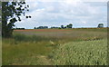 Farmland west of Rumburgh in IP19 0HG